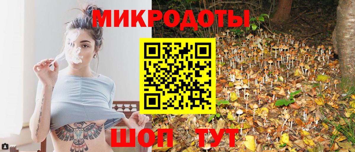 Псилоцибиновые грибы Magic Shrooms  дарнет шоп  Камень-на-Оби  Вход с VPN 
