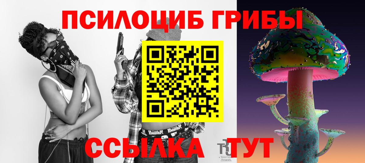 Галлюциногенные грибы Psilocybe Камень-на-Оби